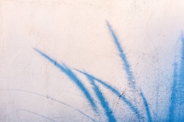 Eski duvar çimento çim gölge arka plan ve dokular