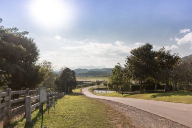 Çay çiftlik, tarım arazileri için road, tarım arazileri yoluna giden yol