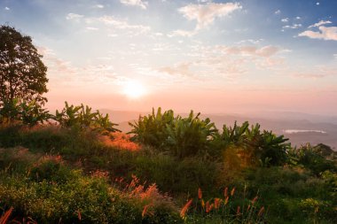 Sabah gündoğumu dağlarda, yaprak döken orman sunrise.