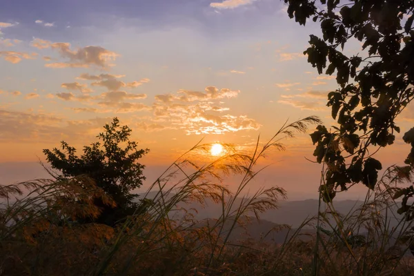 Утренний Рассвет Горах Восход Солнца Лиственных Лесах — стоковое фото