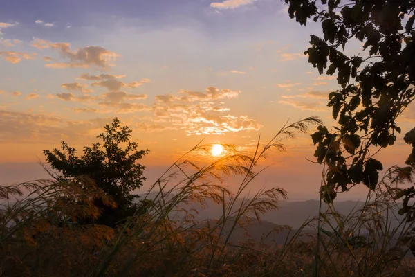 Morning sunrise in the mountains, sunrise on the deciduous forest.