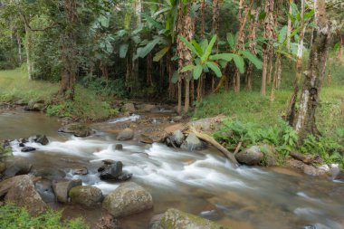 Şelale kış, Chiang Rai Eyaleti Kuzey Tayland
