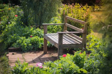 Kış, Chiang Mai Kuzey Tayland renkli çiçek bahçelerinde ahşap sandalye