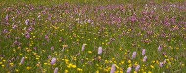Alpe di siusi Trentino alto adige