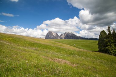 Alpe di siusi Trentino alto adige