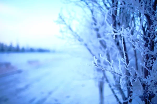 Tree Covered Hoarfrost Winter Road — Stock Photo, Image