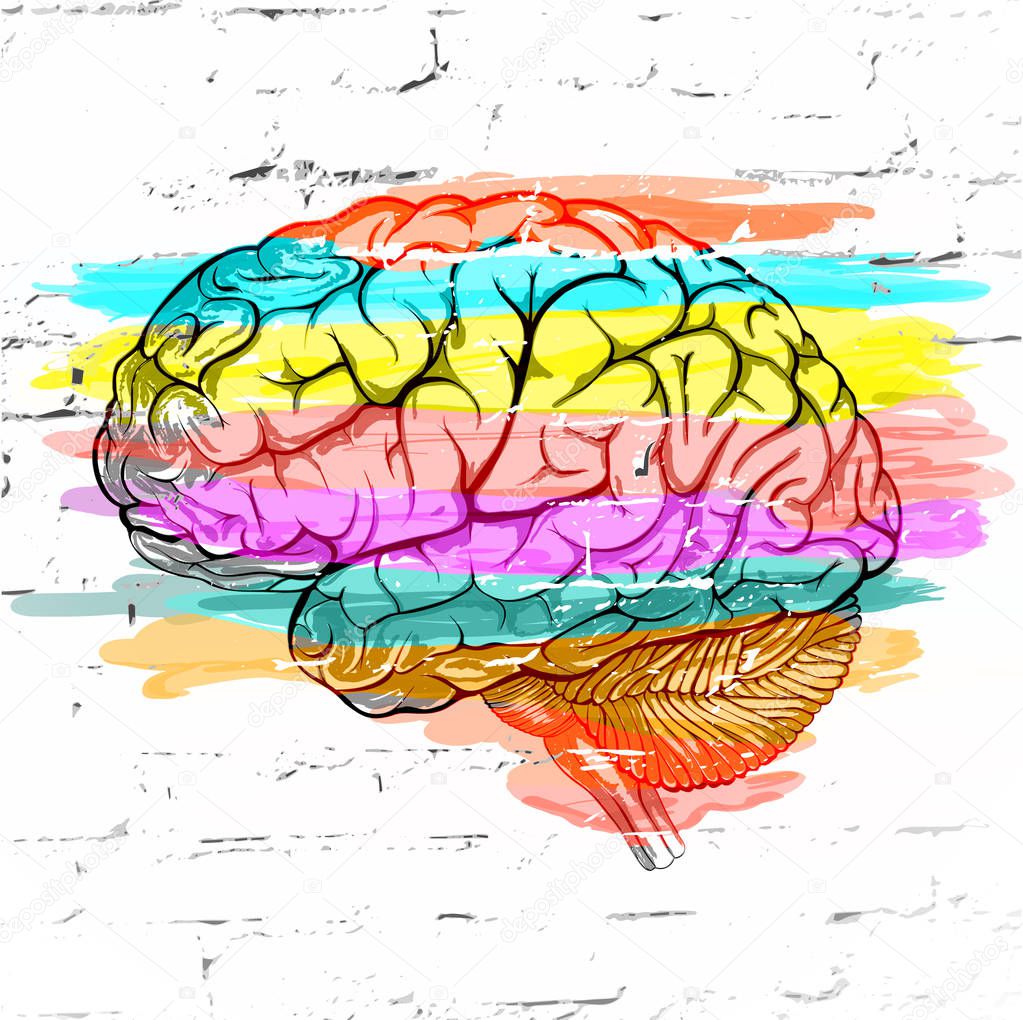 Abstract human brain colored striped  against a white brick wall as an expression of a variety of emotions and thoughts. Vector illustration