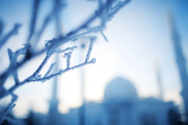 Tree Covered Rime Background Blurred Mosque — Stock Photo, Image
