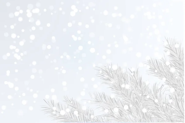 Winter Tree Branch Xmas Tree Background Snowy Frosty Air Seasonal — Stock Vector