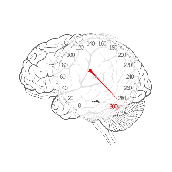 Seta Vermelha Mostrador Pressão Arterial Cérebro Imagem Vetorial —  Vetores de Stock