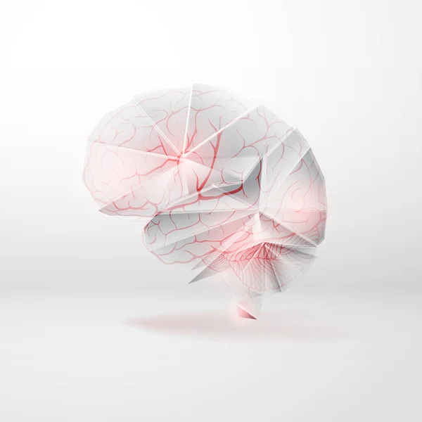 Vector Abstracto Cerebro Humano Con Vasos Sanguíneos Arterias Como Concepto — Vector de stock