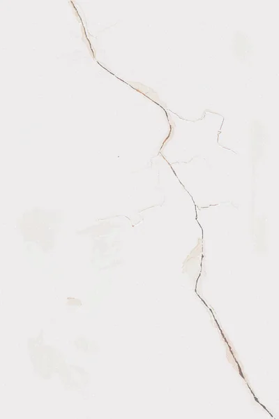Bleached Wall Cracks Delicate Structure — Stock Photo, Image