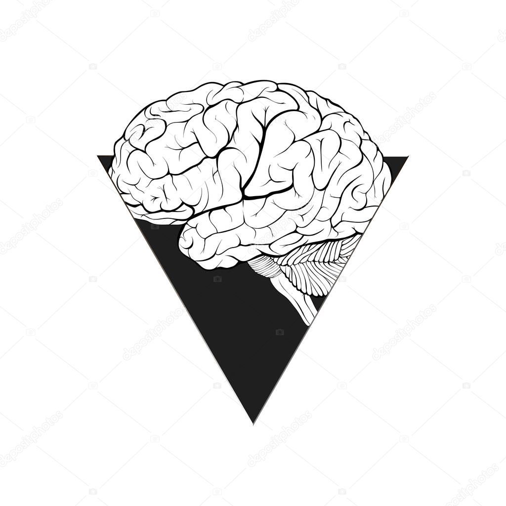 Human brain in a triangular window abstract form as a symbol of aspiration, confidence, intelligence. Isolated on white background. Illustration