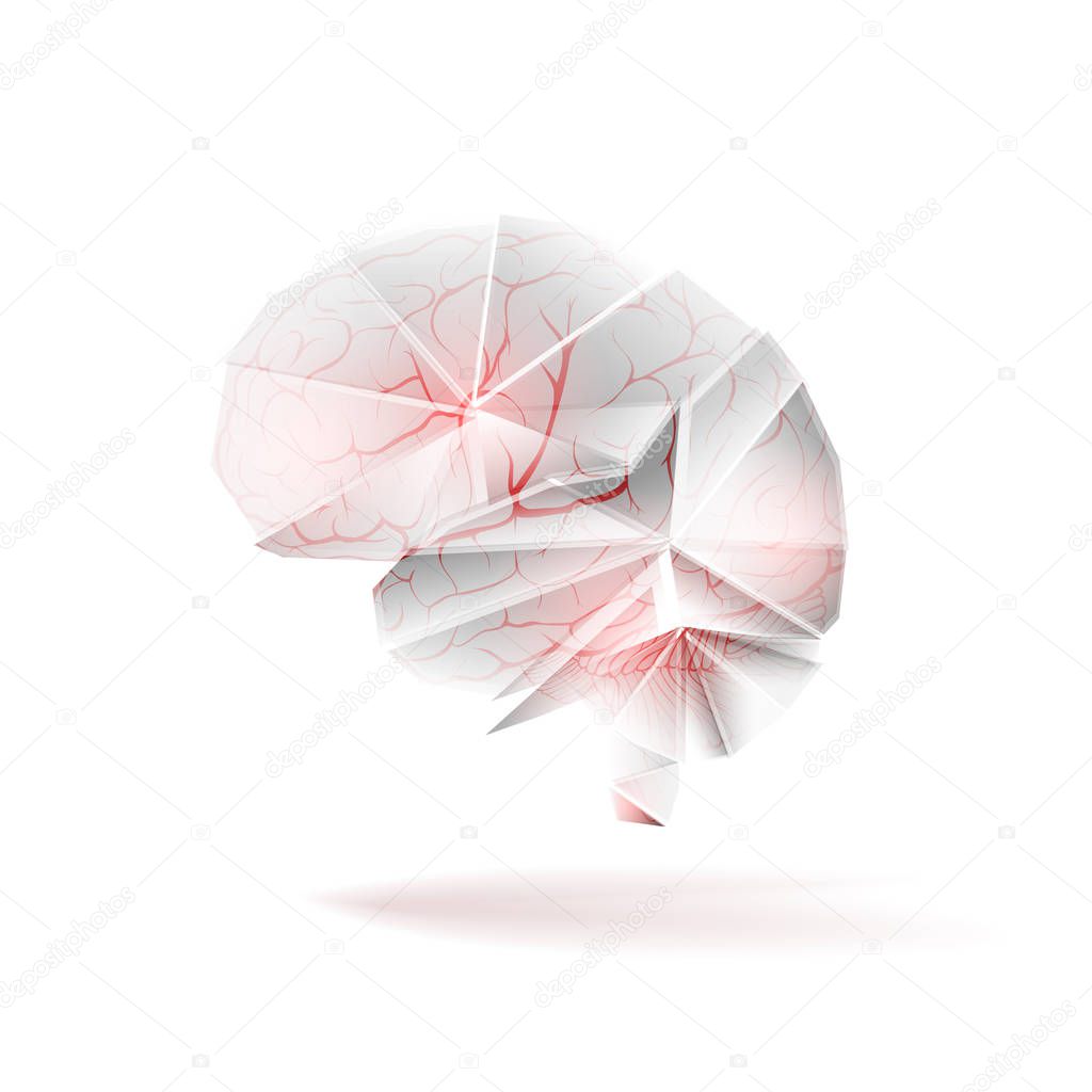 Blood vessels (arteries) in abstract human brain as cerebrovascular concept. Isolated on white background. Illustration