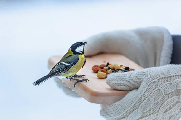 Gestrickte Handschuhe Halten Einen Holzteller Mit Futter Für Vögel Überwinternde — Stockfoto