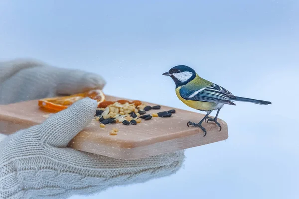 Holzplanke Mit Samen Und Nüssen Fürsorglichen Händen Parkvögel Winter Hilfe — Stockfoto