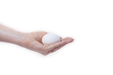 avuç beyaz yumurta izole