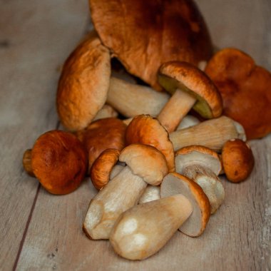 sonbahar porcini beyaz mantar bir ahşap masa, yan görünüm, sonbahar mevsimsel geleneksel gıda, Hediyelik orman 