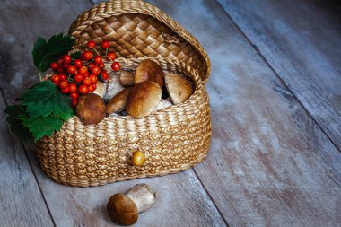 Ahşap arka plan, sonbahar cep mantar, ceps boletus mantarı çörek üzerinde ahşap açık renkli mantar, gurme gıda pişirme lezzetli organik mantar için hazır ahşap rustik masa üzerinde kapat