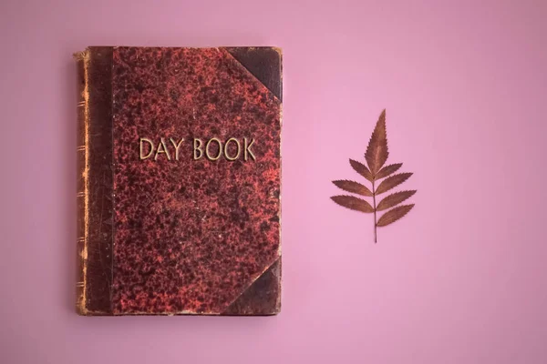 diary book, day book, red autumn dry leaf on pink background, red old ancient book