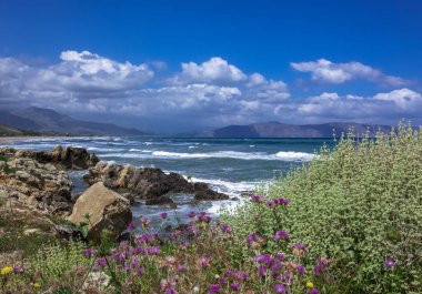 çiçek açan deniz kıyısı, kayalar ve çiçekler, dalgalar dağlar mesafe, bulutlu gökyüzü okyanus üzerinde