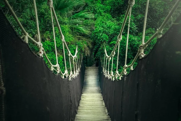 rope bridge in the jungle, wooden planks and dark ropes, bright green greens, a bridge between the trees in the park