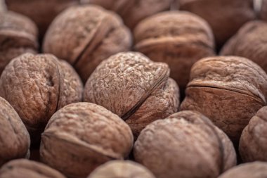 Ceviz, fındık, ceviz kabuğu'nda ayrıntı, ceviz yakın çekim yığını