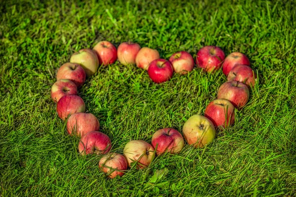 Frische Rote Und Gelbe Äpfel Herzform Auf Grünem Gras Naturgrüner — Stockfoto