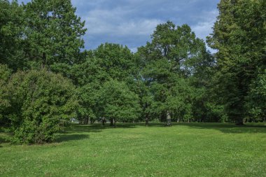 Parkta güzel çayır, bulutlu havalarda bahar parkında çiçeklenme yeri, clousy mavi ve beyaz gökyüzü