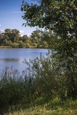 göl, manzara, mavi su ve gökyüzü, greentrees ve bitkiler