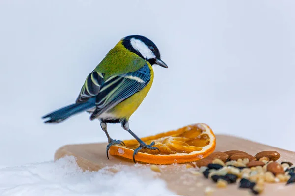 Holzplanke Mit Samen Und Nüssen Schnee Parkvögel Winter Hilfe Für — Stockfoto