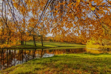 sonbahar parkı, ağaçlarda parlak sarı, turuncu yapraklar, su, fırça ve boya etkisi peyzaj yansıması