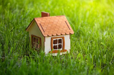  Bahçedeki çimlerin üzerinde küçük ahşap ev modeli, kır evi, mimari ve kulübe inşaatı, eko ahşap ev konsepti, çevre dostu ev, minyatür model.