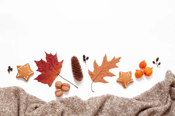 Autumn Layout Warm Knitted Plaid Autumn Leaves Fruits Berries White — Stock Photo, Image