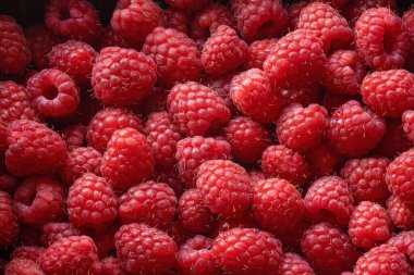 Ahududu, kırmızı, olgun, sulu böğürtlen yakın çekim üst manzara, merhaba yaz