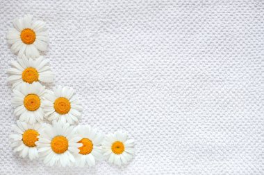 Beyaz pamuklu havluda papatyalar, bitkisel tentürlerle banyo yapma konsepti, spa tedavileri, masaj, banyo, doğal yağlar ve bitkilerle vücut bakımı.