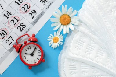 Mavi arka planda kadın ürünleri ve alarm saati olan adet takvimi, külot askıları, papatya çiçekleri, kritik günlerde kadınlar için hijyen ürünleri kavramı