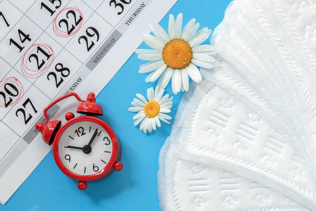 Menstrual calendar with feminine products and  alarm clock on blue background, panty liners, chamomile flowers, the concept of hygiene products for women in critical days