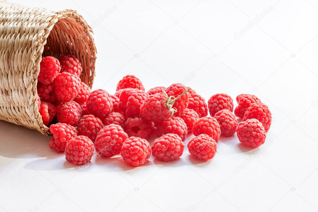 red, ripe, juicy raspberry berries are scattered from a basket on a white background, isolate, season of natural vitamins