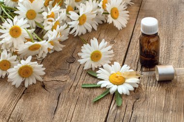 Tahta bir masada papatya çiçekleri, papatya özlü şişe ve pipetli ya da yağlı, doğal malzemeler, decoction ya da papatya çiçeği tentürü.