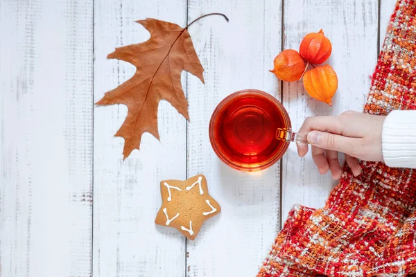 Diseño Otoño Con Hojas Caídas Una Taza Una Bufanda Punto — Foto de Stock