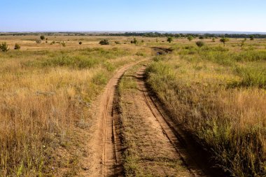 Yaz bozkırları, yollar tarlalar boyunca ısınıyor, yol işaretsiz.