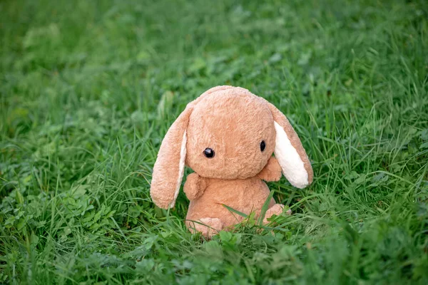 cute plush toy rabbit in the park on the grass, children\'s soft toy on the lawn