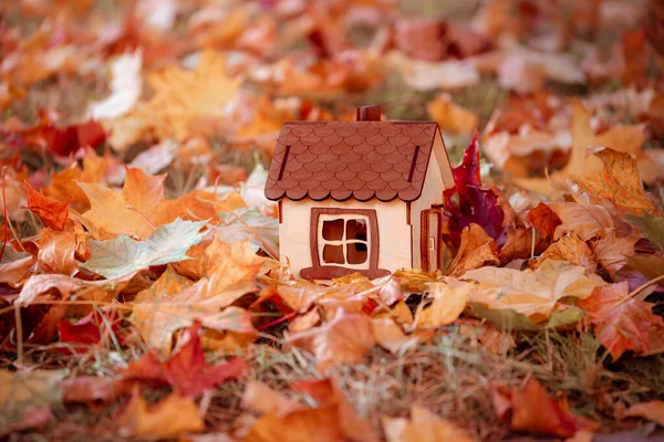 Helle Herbstblätter Auf Dem Boden Laub Herbst Saison Modell Eines — Stockfoto