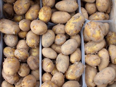 Çiğ patates derileri içinde belgili tanımlık çarşı içinde bir sürü