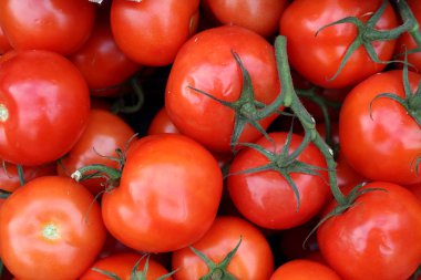 Şube desen arka plan üzerinde kırmızı organik domates yakın çekim