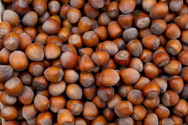 Many hazelnuts brown nuts in shell on the market background pattern