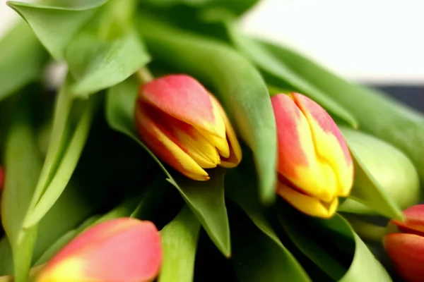 Yellow Red Flowers Tulips Fresh Bouquet Green Leaves Stem Wet — Stock Photo, Image