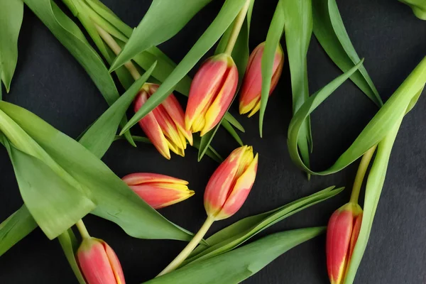 Bouquet Tulipes Fleurs Rouges Jaunes Aux Feuilles Vertes Tige Sur — Photo