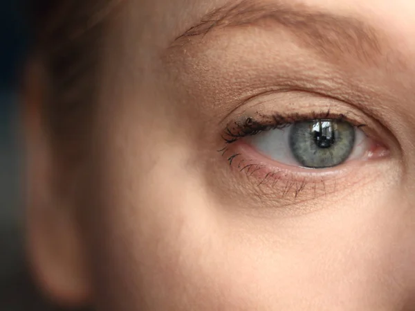 Feminino Eslavo Jovem Cinza Azul Olho Com Rímel Luz Marrom — Fotografia de Stock